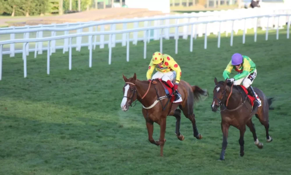 Sandown Park, Tinkle Park Christmas Festival