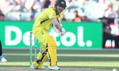David Warner Australian Cricket Legend